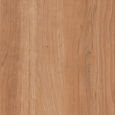 姫路市で断熱性能の高い木材の色・チェリー