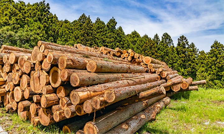 姫路の注文住宅の建材
